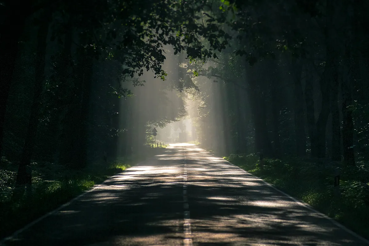 Apprendre la mesure de lumière en photo - Bien exposer une image - mode manuel